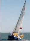 Anderson 22 Amelia-J